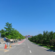 下雨知道往家跑