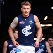 Rational Carlton Fan