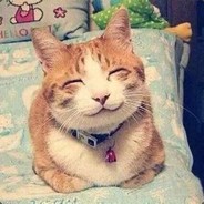 敢问九筒大哥何方神圣