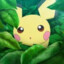 Pixchui