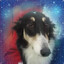 Даняzombak's avatar