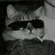 zulekks - steam id 76561197970197003