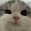 gooby