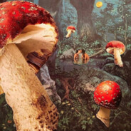 Psychedelic mushroom)