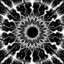 darklight