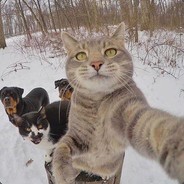 对不起我是卧底