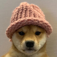 dogwifhat