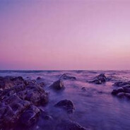 kiss传媒首席CEO王总