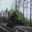 Borzi97