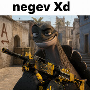 Zlomek_negev
