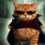 katzen