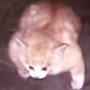 Дед Сабвуфер