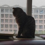 想做你的小喷子