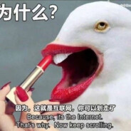 嗯？哪来的半条命？