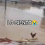 lo siento wilson