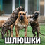 Erwww_cd