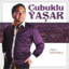 ALİ dAYII