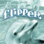 ⭐Flipper23⭐