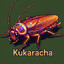 kukaracha799c