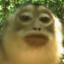 ugauga-