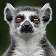 Lemur4ik