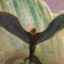 Nachtvogel