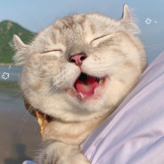 他日若是同淋雪