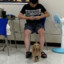 QQ包