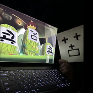 Bitter苦瓜にがうり