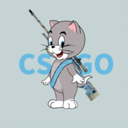 河马猪猪王子QZQ