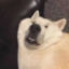 LLLL