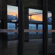 跑马staam好友码1232535488