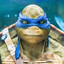 NİNJA LEONARDO