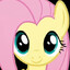 poni