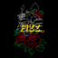 ₦Ɖ Fizz-Frs