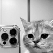 ꧁༒☬ᶜᴿᴬᶻᵞ®☬༒