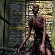 Chosen Undead