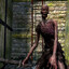 Chosen Undead