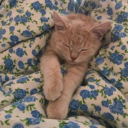 𝕳𝖔𝖐𝖆𝖘𝖚