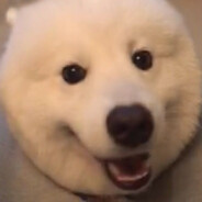 迈向nb恒言的进行曲