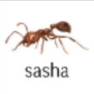 Аватар Sasha