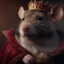 Kanzas16 King of Rats