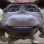 Kayke