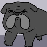 Piger