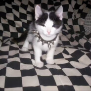 想变成小电这样就能插进你的哨兵里