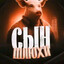 сынш люхи