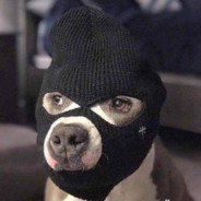 带我躺，球球了