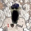 mold's avatar