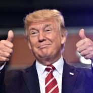 Peluca Trump
