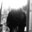 ZXC_ShAdOw_ZXC